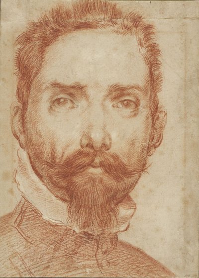 Portrait du luthiste Giulio Mascheroni - Annibale Carracci