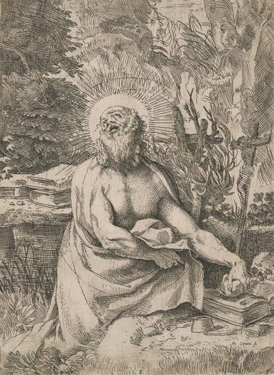 Saint Jérôme dans le désert - Annibale Carracci