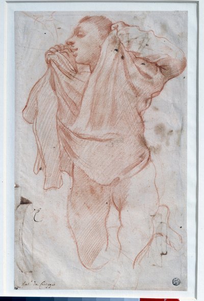 Jeune garçon enlevant sa chemise (détail) - Annibale Carracci