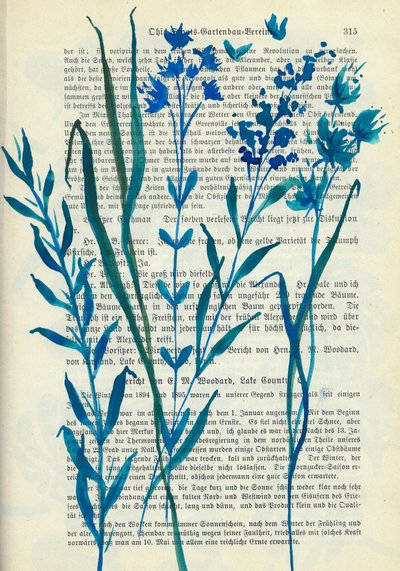 Fleurs bleues – Texte ancien - Annick