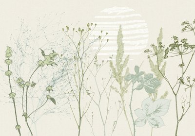 Lever de soleil botanique aux tons doux - Annick