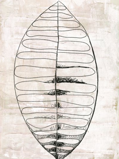 Dessin au trait de feuilles organiques - Annick