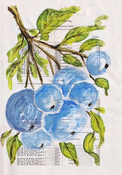 Myrtilles peintes sur papier - Annick