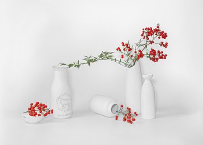 Présentation minimaliste de baies rouges - Annie Poreider
