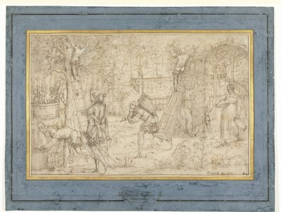 Récolte de pommes et vendange - Anonymous