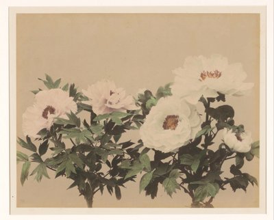 Nature morte de fleurs avec pivoines - Anonymous