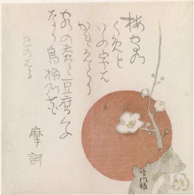 Fleurs de cerisier et coucher de soleil - Anonymous