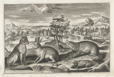 Animaux de la forêt - Anonymous