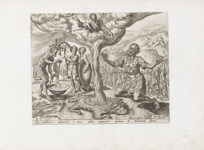 Rosée sur la toison de laine - Anonymous