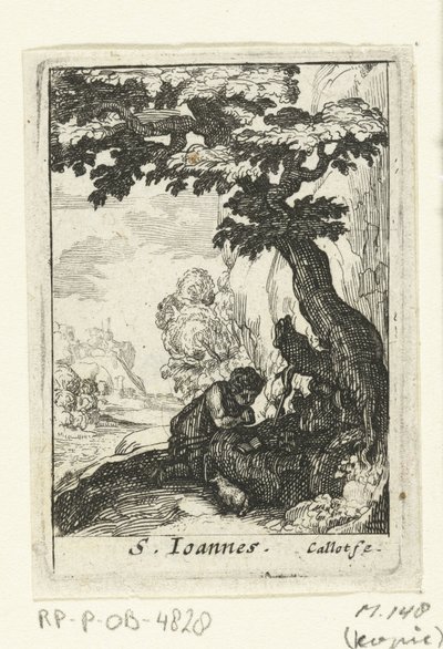 Saint Jean-Baptiste pénitent - Anonymous