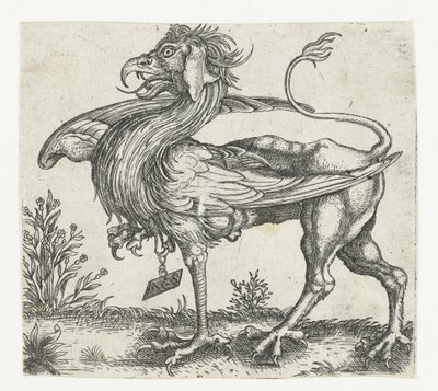 Le griffon - Anonymous