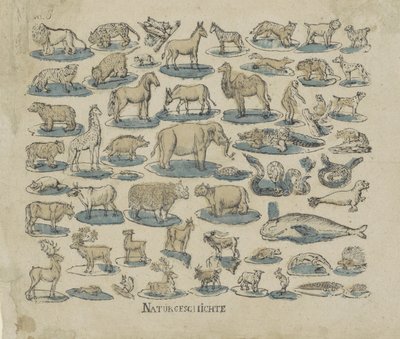 Animaux - Anonymous
