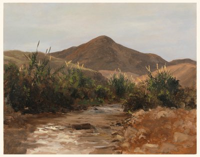 Dessin, près de Jéricho, Wady Kilt - Anonymous
