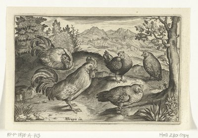 Trois poules et deux coqs - Anonymous
