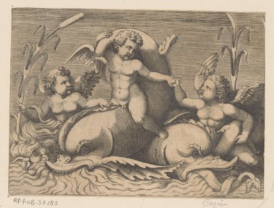 Trois putti avec des dauphins - Anonymous