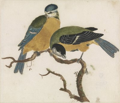 Une mésange bleue et une mésange charbonnière sur une branche - Anonymous