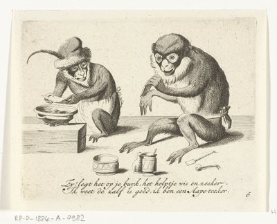 Un singe applique un bandage - Anonymous