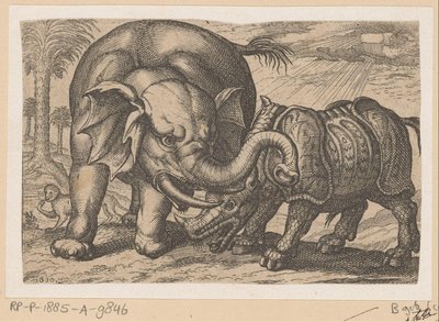 Un rhinocéros combattant un éléphant - Anonymous