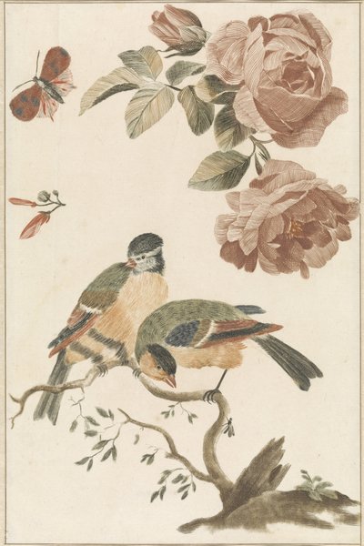 Une mésange bleue et une mésange charbonnière sur une branche, deux roses et un papillon - Anonymous