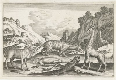 Animaux exotiques - Anonymous