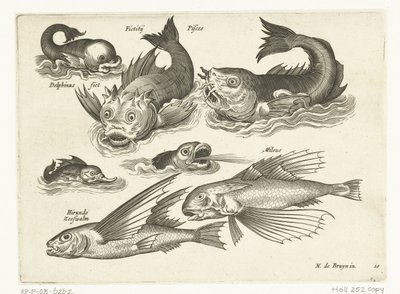 Animaux aquatiques fantastiques, y compris dauphin et poisson-pieuvre - Anonymous