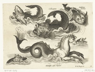 Animaux aquatiques fantastiques, y compris un hippocampe - Anonymous