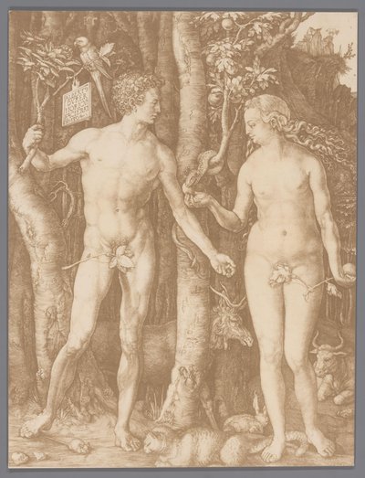 Reproduction photographique de la gravure Adam et Ève par Albrecht Dürer - Anonymous