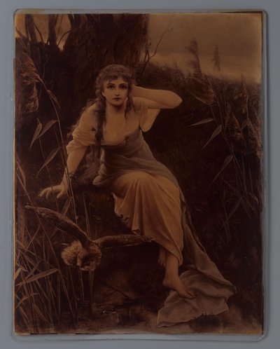 Reproduction photographique d