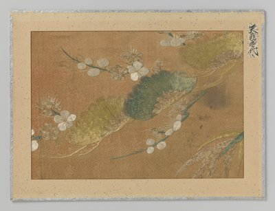 Fragment de textile - Anonymous