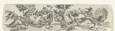 Frise avec des oiseaux, y compris un paon et un pélican - Anonymous
