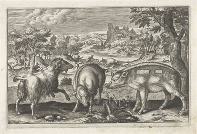 Chèvre et cochons - Anonymous