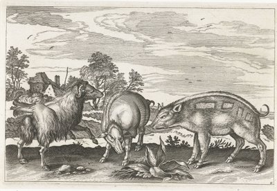 Chèvre et cochons - Anonymous