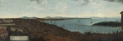 Vue de Constantinople et du Sérail depuis l