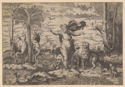 Dieu crée les animaux sur la terre - Anonymous