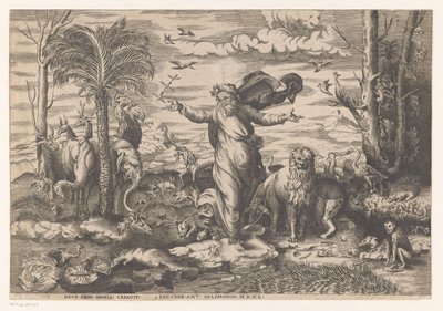 Dieu crée les animaux sur la terre - Anonymous