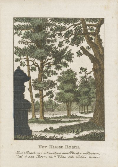 Haagse Bos - Anonymous