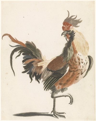 Coq marchant vers la droite (version A) - Anonymous
