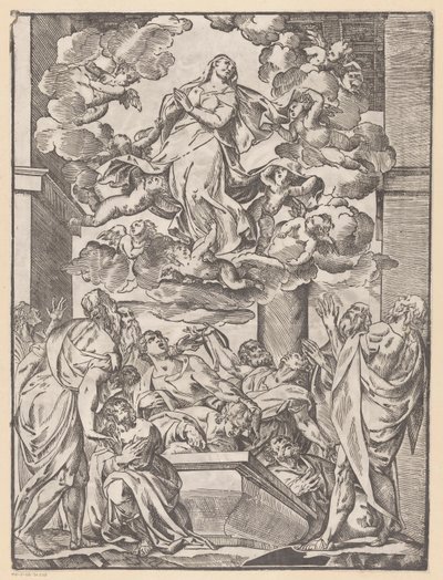 Ascension de Marie - Anonymous