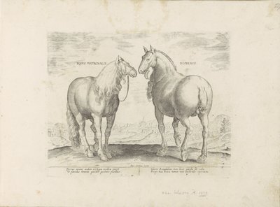 Étalon et jument de Rome - Anonymous