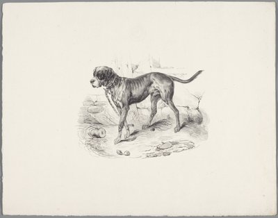 Chien enchaîné - Anonymous