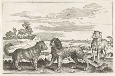 Chiens (Animalivm Qvaddrvpedvm) - Anonymous