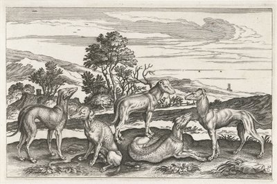 Chiens de chasse - Anonymous