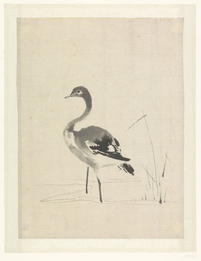 Jeune grue - Anonymous
