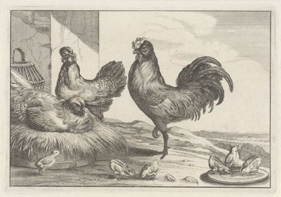 Poulet, coqs et poussins - Anonymous