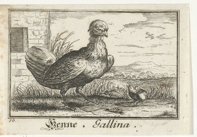 Poule avec poussin - Anonymous