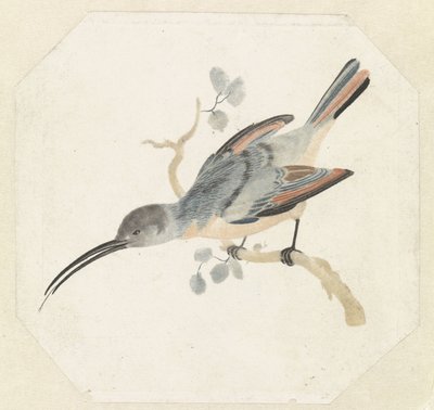 Colibri sur une branche à gauche - Anonymous