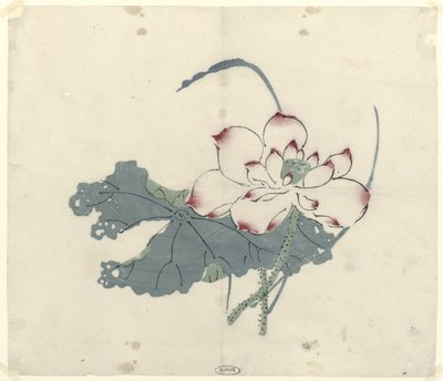 Lotus - Anonymous