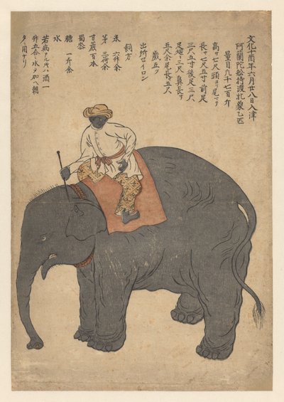 Éléphant apporté par un navire néerlandais en 1813 - Anonymous
