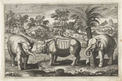 Éléphants et rhinocéros - Anonymous