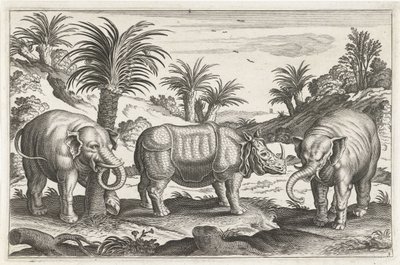 Éléphants et rhinocéros (Animaux quadrupèdes) - Anonymous